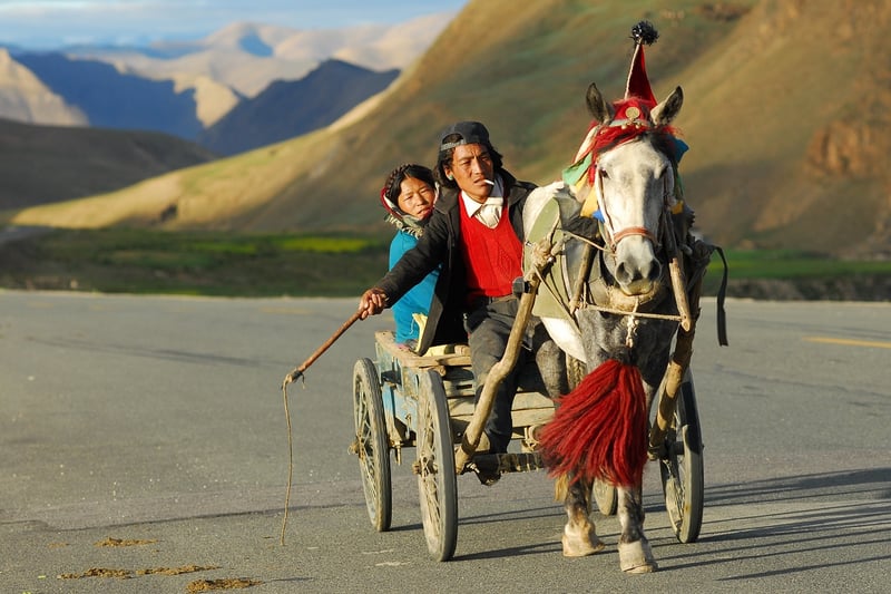 Horse-Drawn Carriage Ride